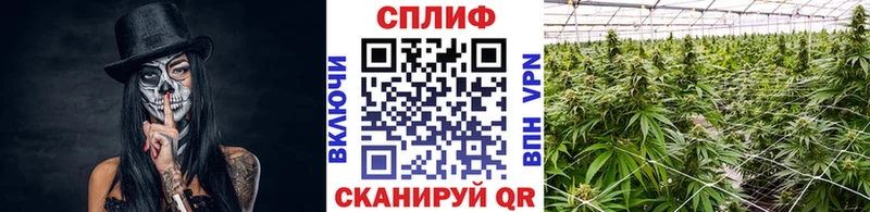 купить наркотики сайты  Волчанск  Бошки марихуана MAZAR 